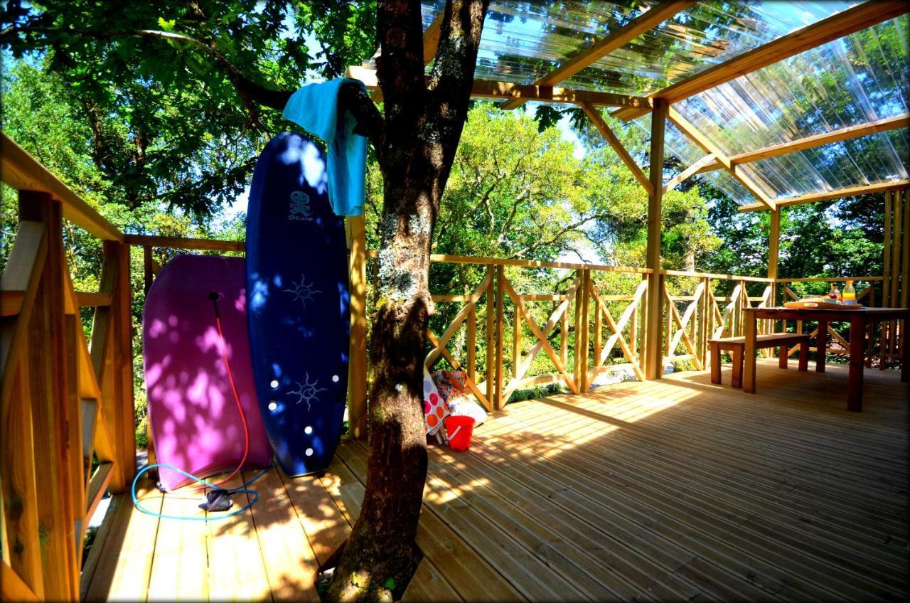 Village Nature Et Ocean A Cote De La Plage Avec Piscine Et Jacuzzi Messanges  Kültér fotó