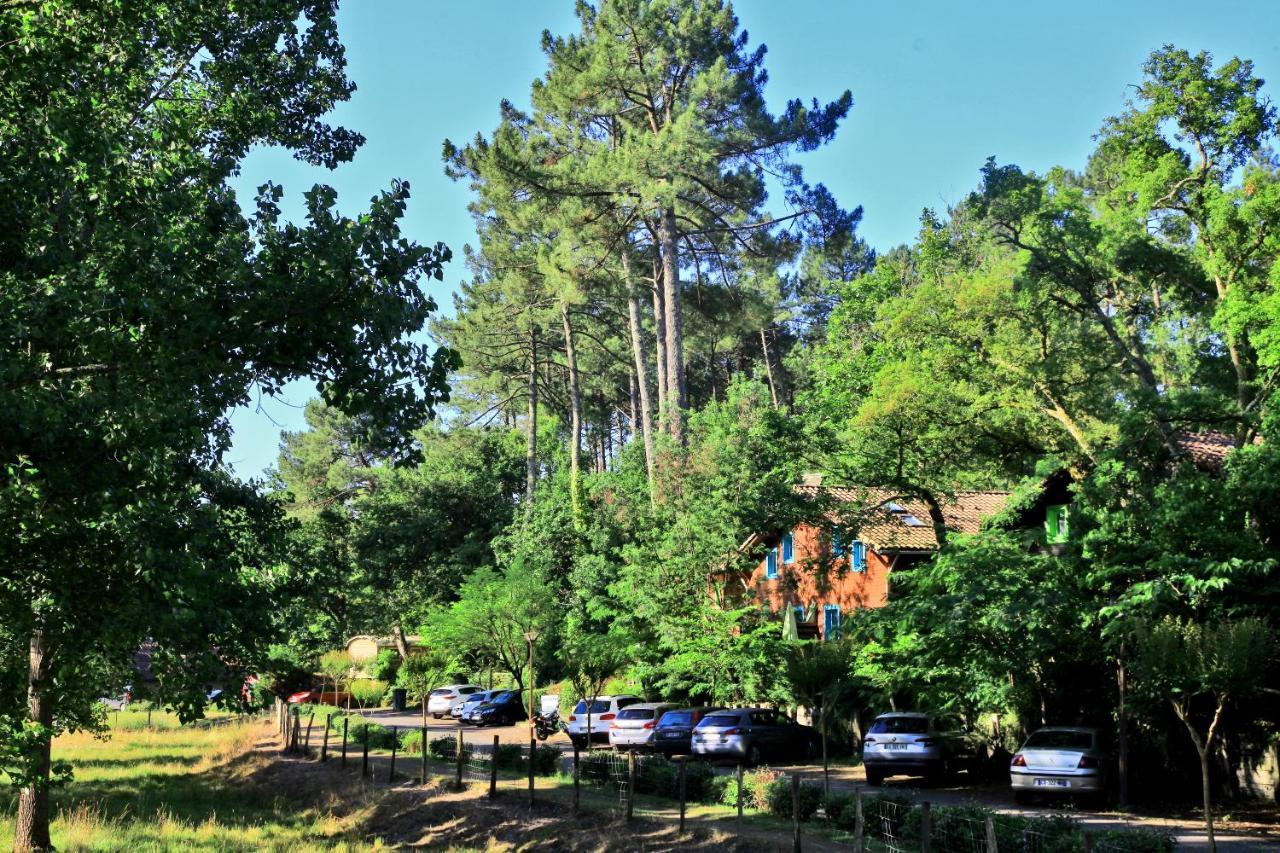 Village Nature Et Ocean A Cote De La Plage Avec Piscine Et Jacuzzi Messanges  Kültér fotó