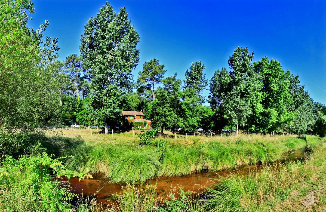 Village Nature Et Ocean A Cote De La Plage Avec Piscine Et Jacuzzi Messanges  Kültér fotó