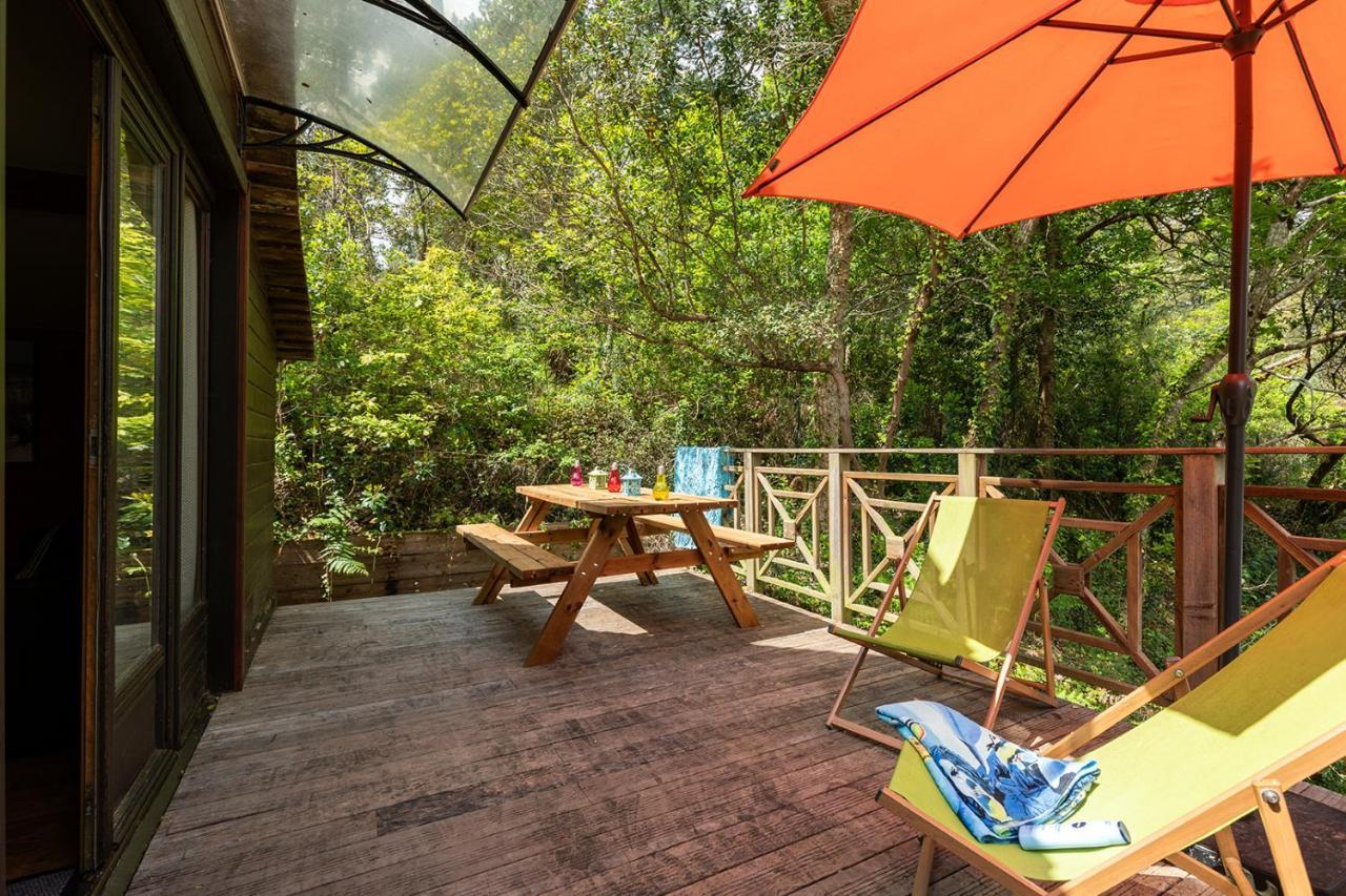 Village Nature Et Ocean A Cote De La Plage Avec Piscine Et Jacuzzi Messanges  Kültér fotó